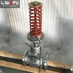 自力式压力樱桃视频污下载：自我调节，控制新趋势