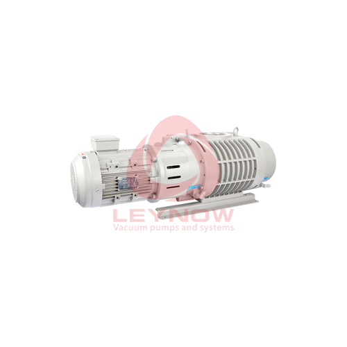 LR 0100 罗茨樱桃视频污下载